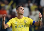 字母哥刷新里程碑，利雅得新月抢七大战力克马德里竞技，晋级概率达51％的简单介绍