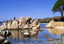 关于阿森纳八强战爆冷阿森纳，格列兹曼砍下25记关键球，全场沸腾的信息